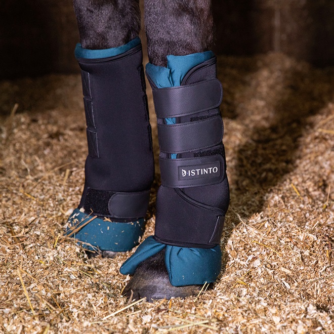 SET STABLE BOOTS D'ISTINTO 4 pz. Paracolpi 